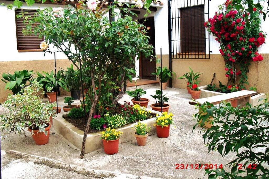 Casa Del Abuelo 1 Yeste Exterior foto